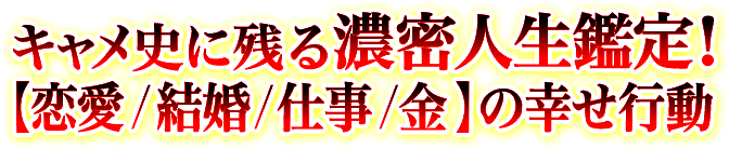 キャメ史に残る濃密人生鑑定!【恋愛/結婚/仕事/金】の幸せ行動 キャメ史に残る濃密人生鑑定!【恋愛/結婚/仕事/金】の幸せ行動
