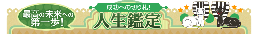 最高の未来への第一歩! 成功への切り札! 人生鑑定