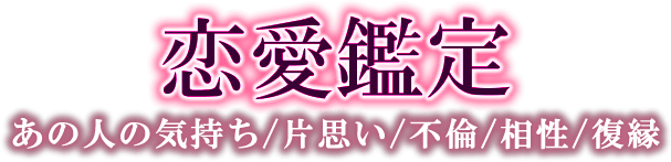 鳥肌ドキッ 驚愕の霊能力であなたの悩みをとり払う 新大久保の霊能母