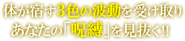 体が宿す3色の波動を受け取り　あなたの「呪縛」を見抜く！！