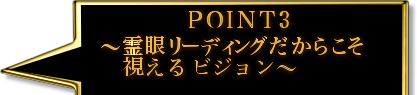 POINT3　〜霊眼リーディングだからこそ視えるビジョン〜