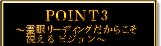 POINT3　〜霊眼リーディングだからこそ視えるビジョン〜