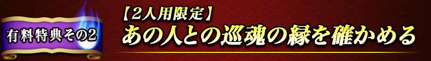 有料特典その2 【2人用限定】あの人との巡魂の縁を確かめる 有料特典その2 【2人用限定】あの人との巡魂の縁を確かめる